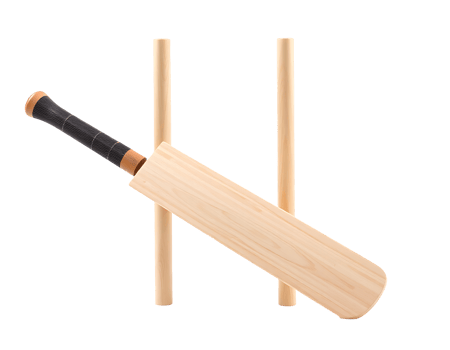 Cricket bat and wicket on a transparent background. png