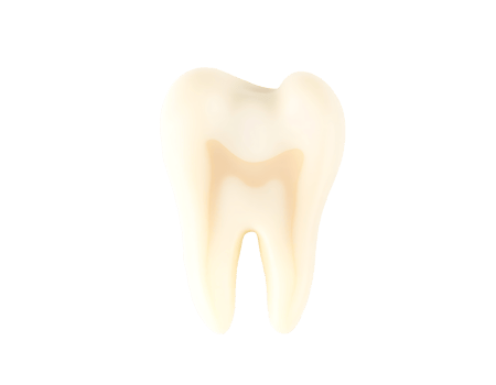 Close-up of an isolated white molar tooth with a transparent background png