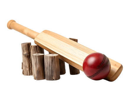 Cricket bat and ball with wickets on transparent background png