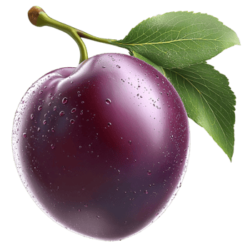 Freshly picked dark purple plum with green leaves glistening under the sunlight looking juicy and delicious png