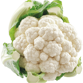 Fresh white cauliflower head with green leaves symbolizing nutrition health versatility and wholesome farmfresh vegetables png