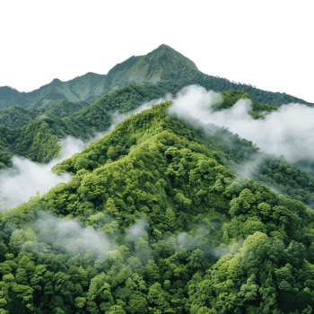 Lush Green Mountains Surrounded by Fog Under Bright Sky in a Serene Landscape png