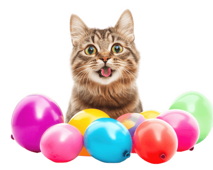 A cat is sitting in front of a bunch of balloons png
