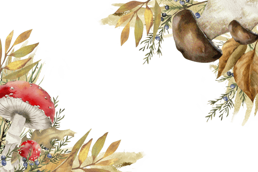 Botanical autumn forest banner template with red and brown mushrooms,colorful leaves and juniper branches watercolor illustration.Hand drawn floral frame, harvest season clipart for card,poster design png