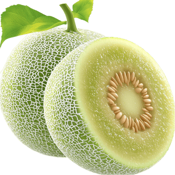 Fresh green melon with sliced kiwi symbolizing health nutrition freshness and the delicious taste of tropical fruit combinations png