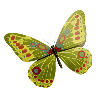 A vibrant green butterfly with red and blue circular patterns on its wings png