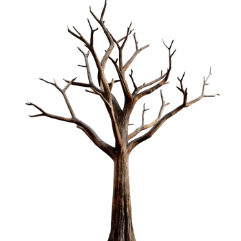 A Stark and Barren Tree Against a Black Background AweInspiring Image of Nature's Resilience png