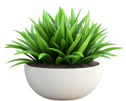 Lush green plant in white pot, perfect for home decor and indoor gardening. This vibrant plant adds touch of nature to any space, enhancing ambiance beautifully png