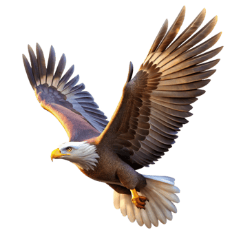 impressive vintage A powerful eagle soaring through the sky, illuminated by the bright, clear light of a midday sun, in a majestic, photorealistic style authentic png