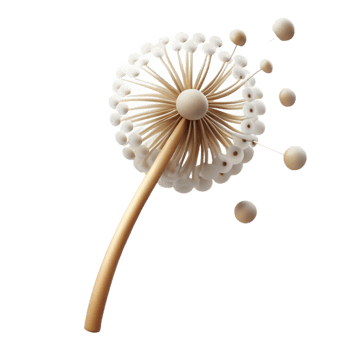 impressive modern A single dandelion seedhead with seeds blowing in the wind, soft lighting, whimsical style exclusive png