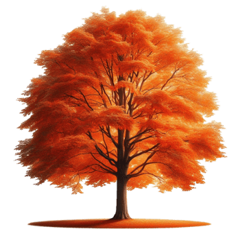 Golden Autumn Tree in Full Bloom png