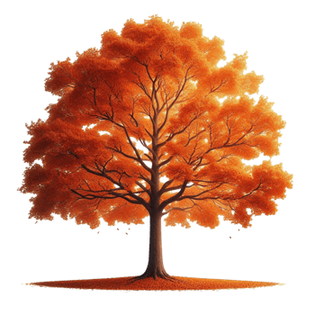 Realistic Autumn Tree with Vibrant Orange png