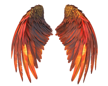 Majestic red and orange feathered wings with intricate details, showcasing stunning blend of colors and textures, perfect for artistic and fantasy themes png
