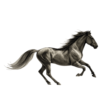 Majestic Black Stallion in Full Gallop Dynamic Pose Dark Background Horse Artwork png