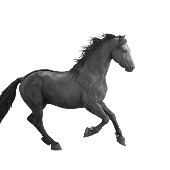 Majestic Dark Gray Horse in MidStride Gallop Against Black Background png