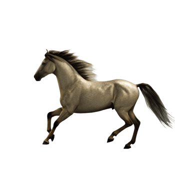 A Stunning Image of a Light Brown Horse in Motion Against a Black Background png