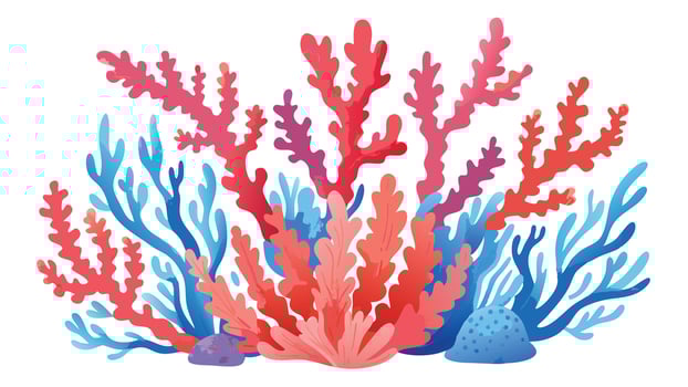 Colorful corals, white background, wallpaper coral reef with colorful corals and other sea life vector