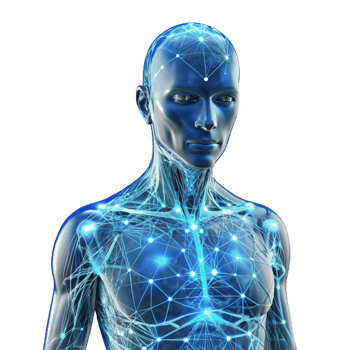 elegant modern A Transparent Human Body with Glowing high resolution png