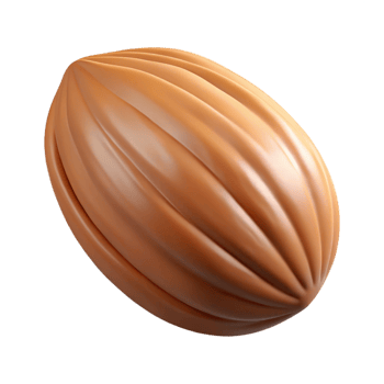 elegant modern A single almond nut, shelled, original png
