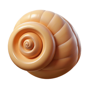 magnificent traditional A single seashell, spiral shaped, professional png