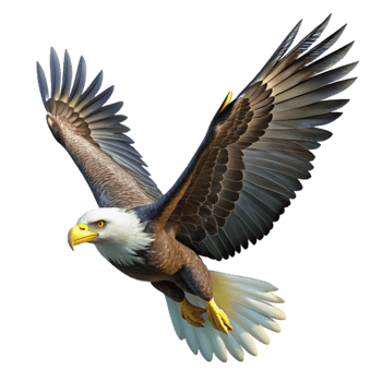 extraordinary traditional A Majestic Bald Eagle Soaring Through a detailed png