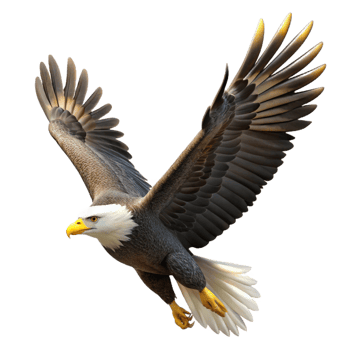 dramatic abstract A majestic bald eagle soaring through a cloudless sky, sunbeams highlighting its wingspan, photorealistic style original png