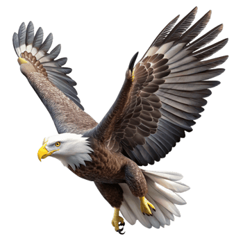 beautiful modern A majestic bald eagle soaring through the sky, its wings spread wide, in a powerful, realistic style professional png