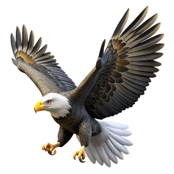 magnificent creative A majestic bald eagle soaring through the sky, its wings spread wide, in a powerful, realistic style 4K png