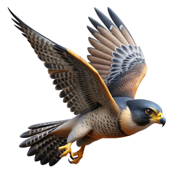 dramatic abstract A soaring falcon diving towards its prey, aerial view, dramatic lighting, dynamic style, authentic png