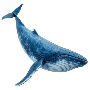 A Stunning 3D Render of a Blue Whale Gracefully Swimming in the Ocean Depths png