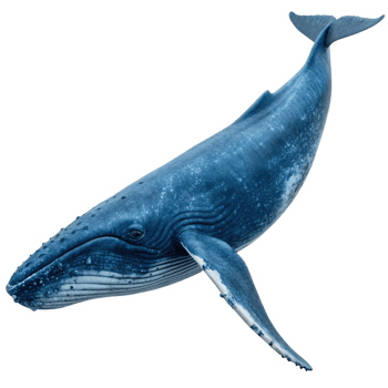 Stunning Humpback Whale Underwater Image Ocean Mammal Wildlife png