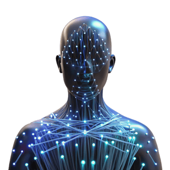 serene modern Intricate network of glowing fiber optic cables weaving through a human silhouette, dark cyberpunk lighting, digital art style professional png
