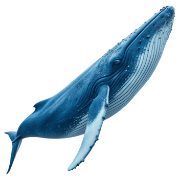 Stunning Image of a Humpback Whale Breaching the Surface png