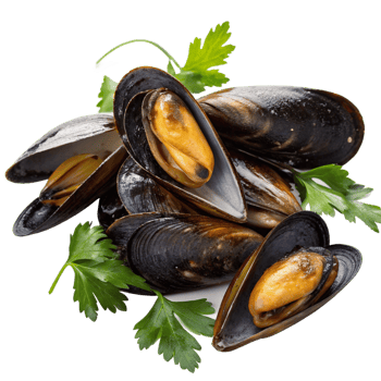 Delicious Steamed Mussels with Fresh Parsley Garnish png