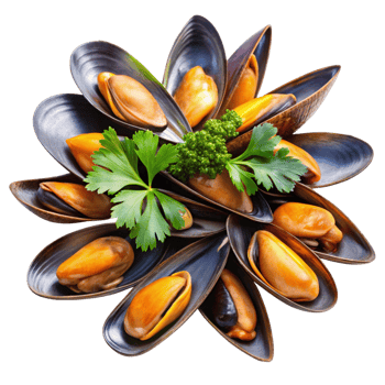 Delicious Steamed Mussels Arranged in a Starburst Pattern Garnished with Fresh Parsley png