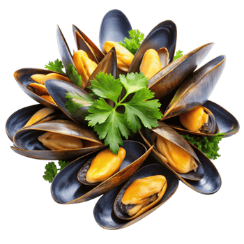 A Delicious and Appealing Presentation of Freshly Steamed Mussels Garnished with Parsley png