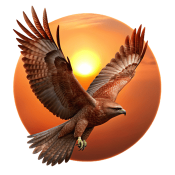 impressive vintage A powerful hawk soaring through the sky, silhouetted against the setting sun, in a dramatic and dynamic digital painting style genuine png