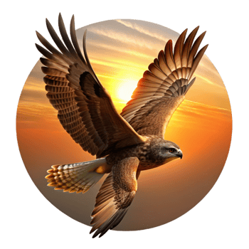 serene contemporary A powerful hawk soaring through the sky, silhouetted against the setting sun, in a dramatic and dynamic digital painting style premium png