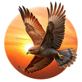 wonderful minimalist A powerful hawk soaring through the sky, silhouetted against the setting sun, in a dramatic and dynamic digital painting style high quality png