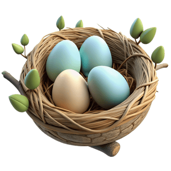 impressive creative A bird's nest with eggs, nestled in a tree branch, soft diffused light, nature photography style 4K png