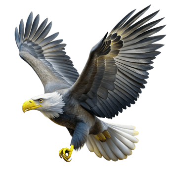 stunning contemporary A majestic bald eagle soaring through a clear blue sky, sunlight glinting off its white head and feathers, rendered in a photorealistic style exclusive png