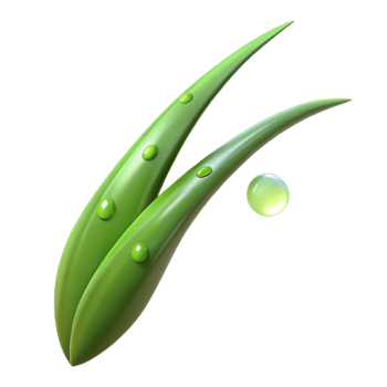 stunning rustic wonderful classic A Single Blade of Grass with Dew Drops high resolution exclusive png