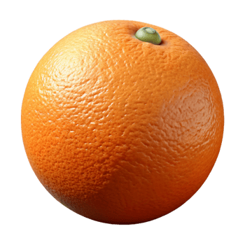 beautiful modern A single, ripe orange with a textured peel high quality png
