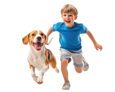A boy running with a beagle dog png
