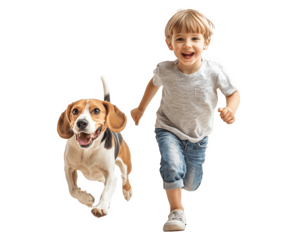 A young boy running with a beagle dog png