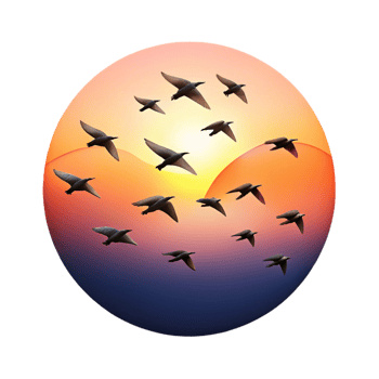 beautiful artistic A Flock of Birds Flying in a V Formation authentic png