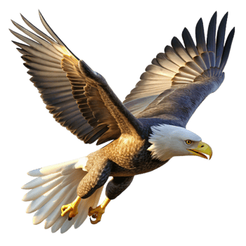 vibrant classic A powerful bald eagle soaring through the sky, illuminated by the bright midday sun, in a realistic wildlife photography style exclusive png