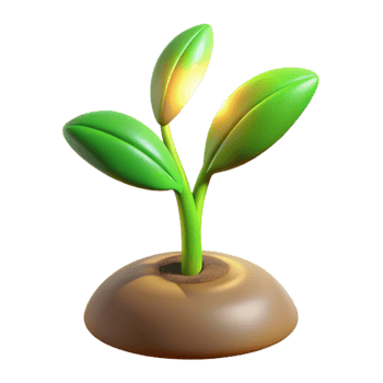 magnificent classic A Sprouting Seedling Reaching Towards the high resolution png