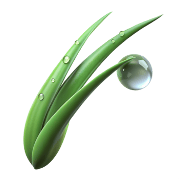 vibrant rustic A single blade of grass with dew drops, macro photography, fresh lighting high resolution png