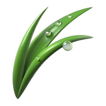 beautiful traditional A single blade of grass with dew drops, macro photography, fresh lighting professional png